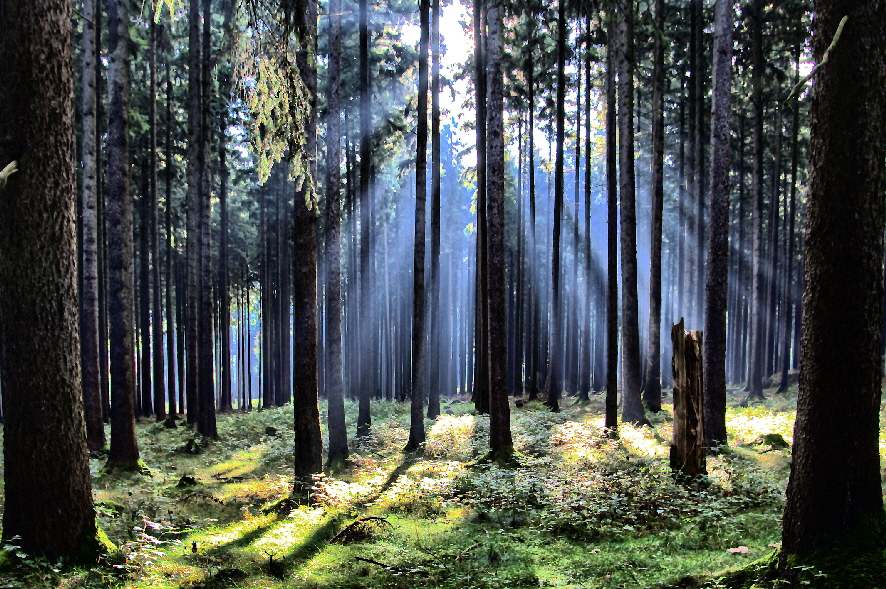 Taunus Hessenpark